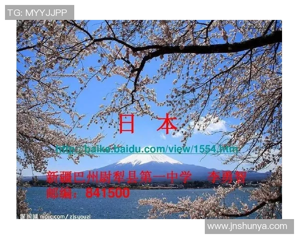 新疆与广东第三场精彩回放分析与赛后点评全面解读